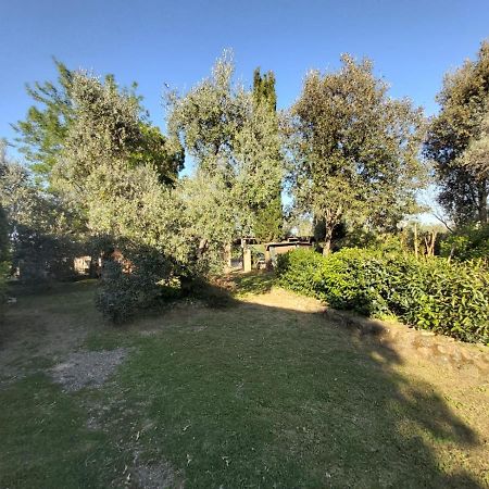 Villa Tenuta Santa Maria Campagnatico Exterior foto