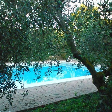 Villa Tenuta Santa Maria Campagnatico Exterior foto