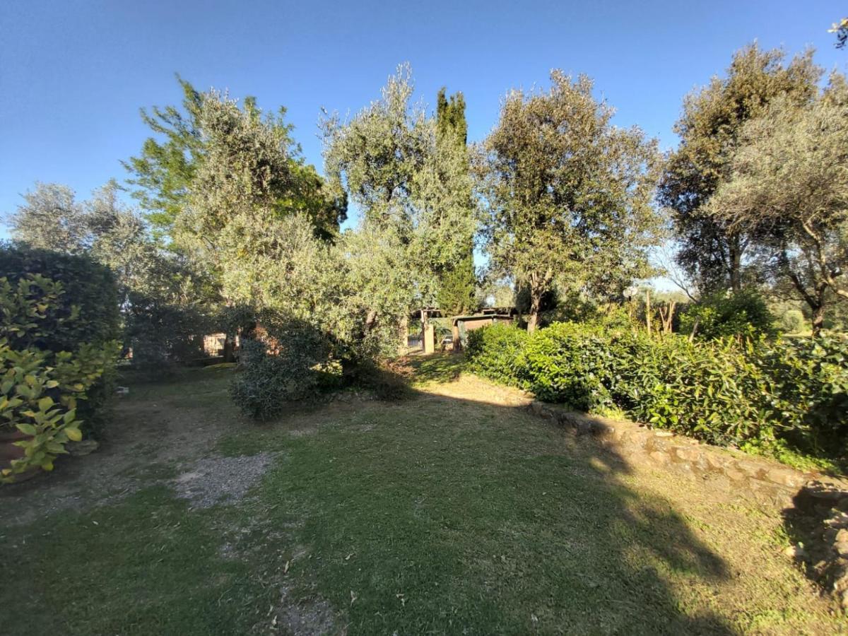 Villa Tenuta Santa Maria Campagnatico Exterior foto