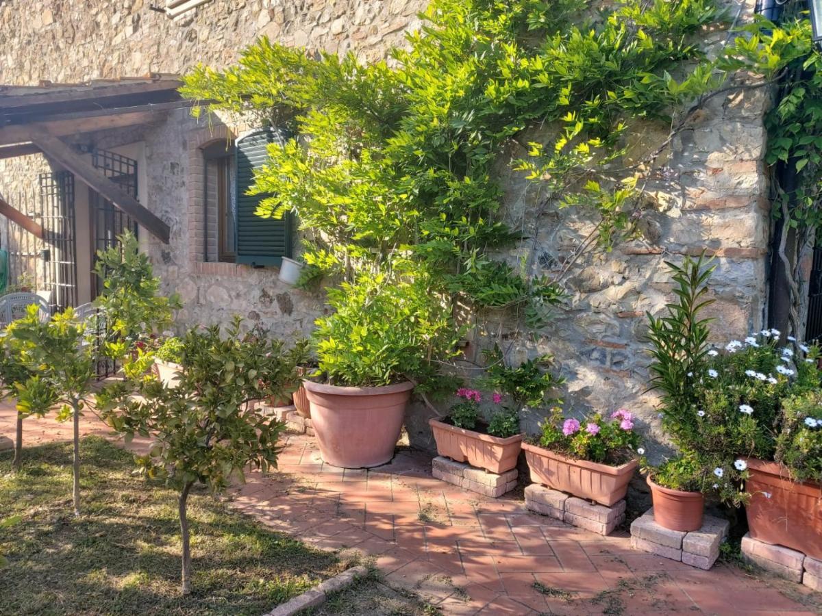 Villa Tenuta Santa Maria Campagnatico Exterior foto