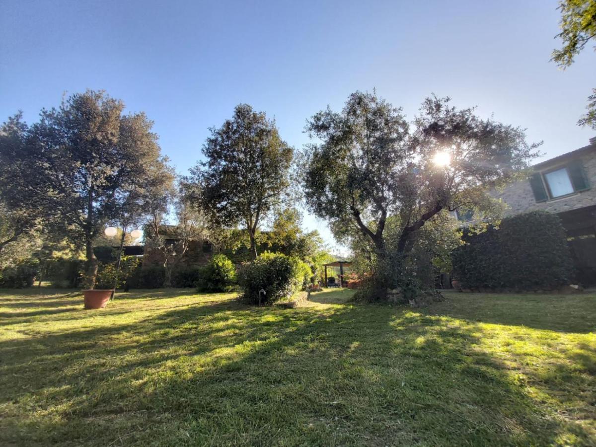 Villa Tenuta Santa Maria Campagnatico Exterior foto