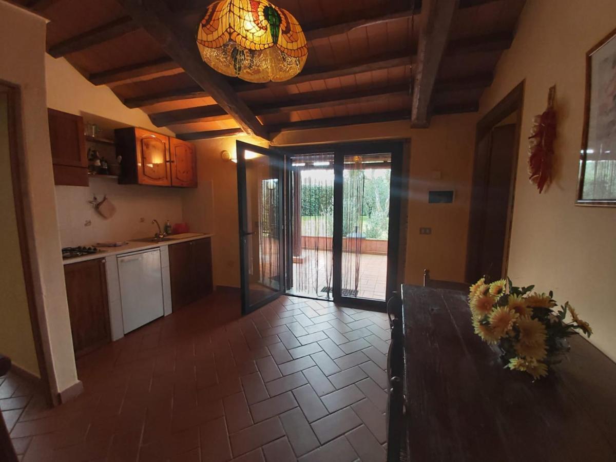 Villa Tenuta Santa Maria Campagnatico Exterior foto
