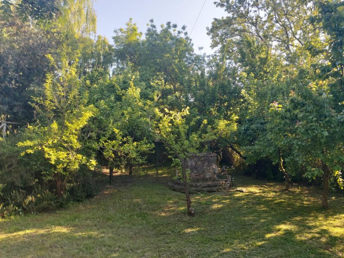 Villa Tenuta Santa Maria Campagnatico Exterior foto
