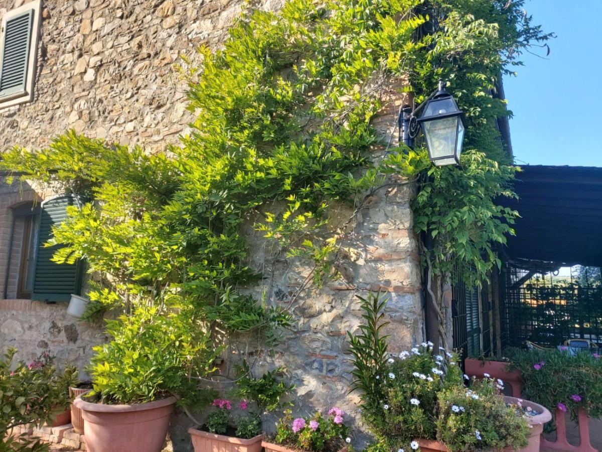 Villa Tenuta Santa Maria Campagnatico Exterior foto