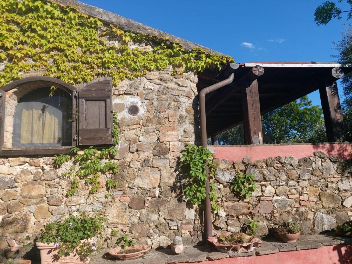 Villa Tenuta Santa Maria Campagnatico Exterior foto