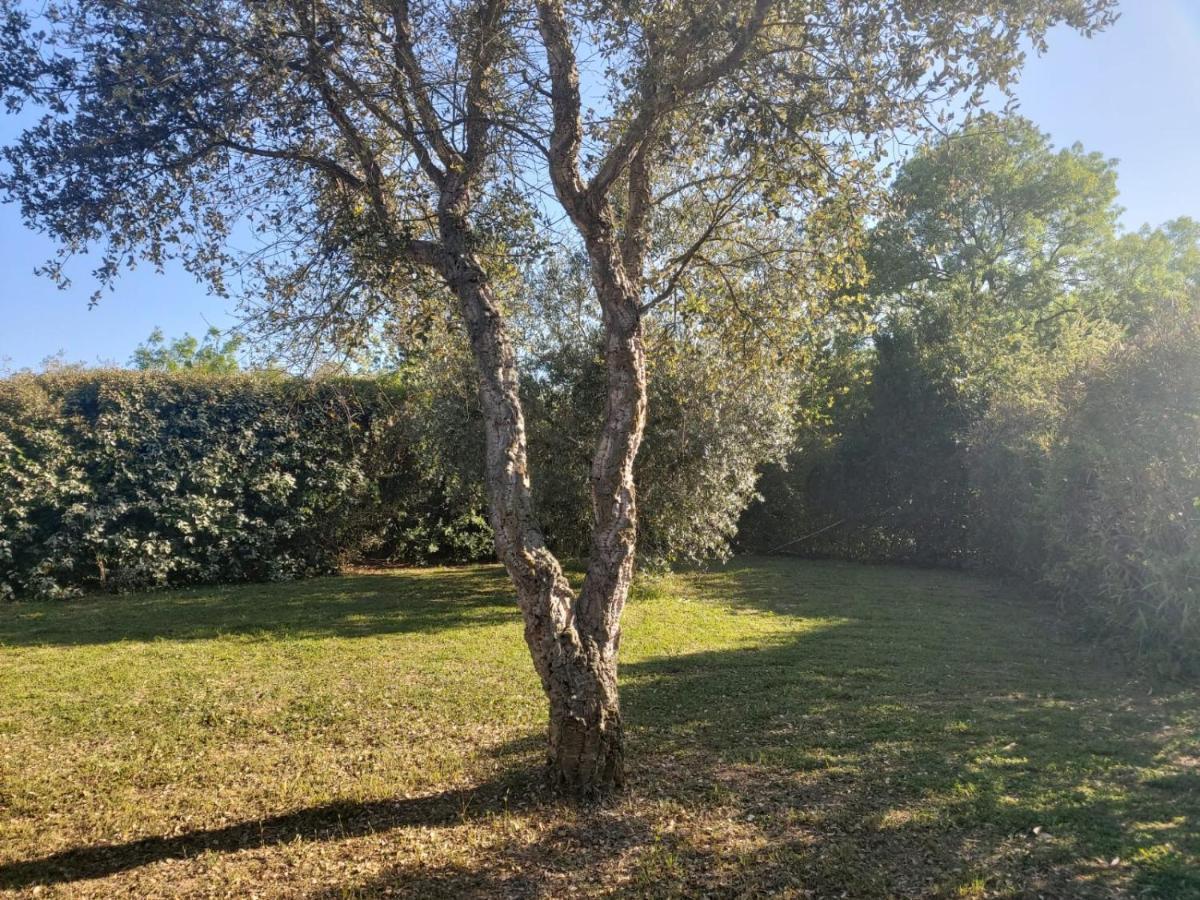Villa Tenuta Santa Maria Campagnatico Exterior foto