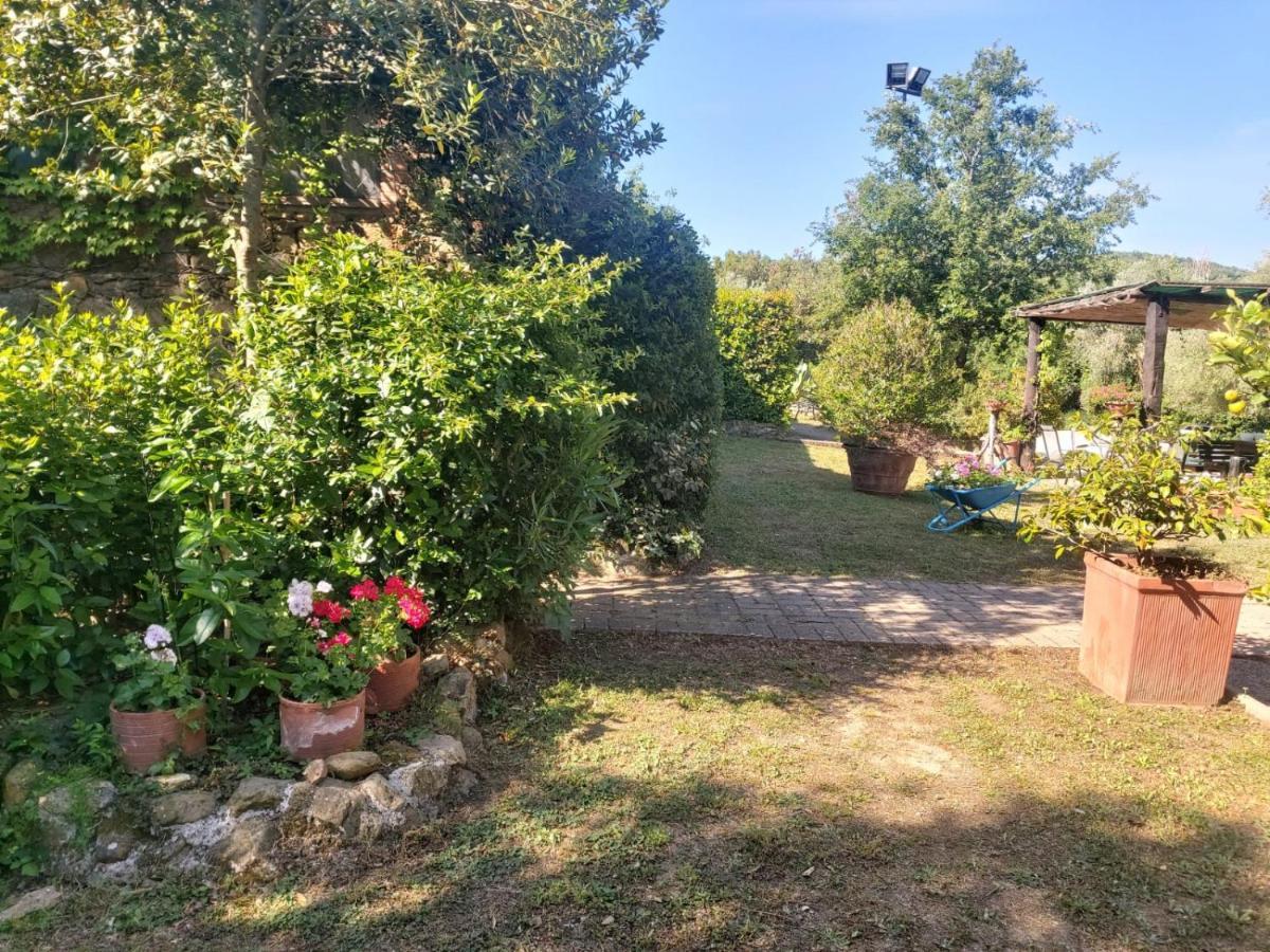 Villa Tenuta Santa Maria Campagnatico Exterior foto